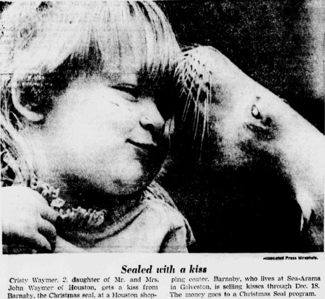 An article about a Christmas kiss, Dallas Morning News newspaper article 14 December 1975