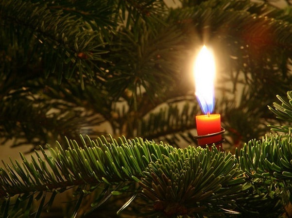 Photo: candle on a Christmas tree. Credit: Malene Thyssen; Wikimedia Commons.