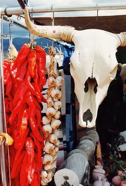 Photo: symbols of the Southwest: a string of dried chile pepper pods (a ristra) and a bleached white cow’s skull hang in a market near Santa Fe, New Mexico. Credit: Andrew Dunn; Wikimedia Commons.
