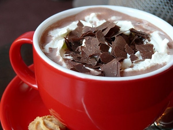 Photo: a cup of hot chocolate with whipped cream and chocolate flakes. Credit: Itisdacurlz; Wikimedia Commons.