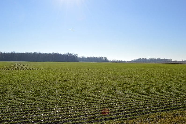 Photo: wheat fields in western Liberty Township, Van Wert County, Ohio. Credit: Nyttend; Wikimedia Commons.