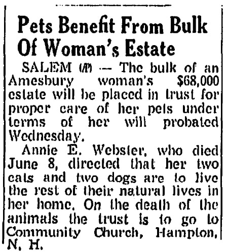 An article about Annie Webster, Springfield Union newspaper 6 August 1964