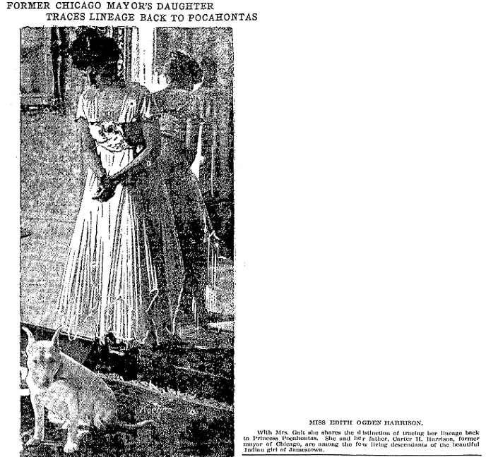 An article about Edith Ogden Harrison, Jackson Citizen Patriot newspaper 25 November 1915