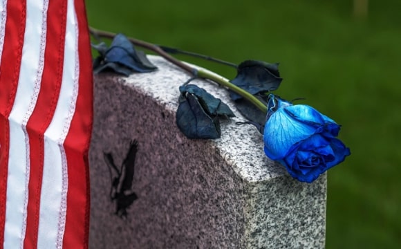 Photo: blue rose on a gravestone for Memorial Day. Credit: https://depositphotos.com/home.html