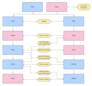 Genealogy Tip: DNA Inheritance Explained