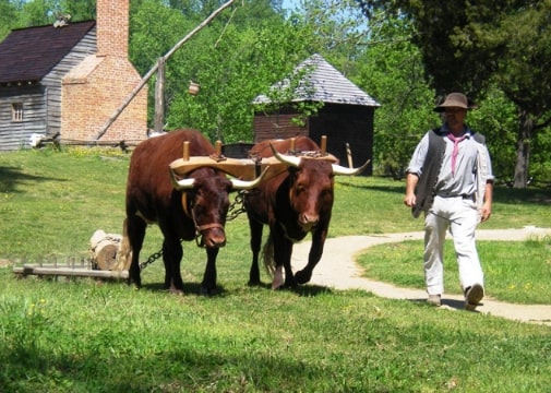 Photo: a farmer at Colonial Williamsburg. Credit: Sarah Stierch (CC BY 4.0); Wikimedia Commons.
