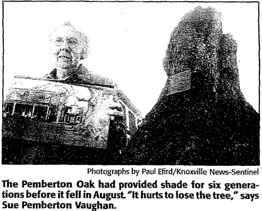 An article about the Pemberton Oak, Commercial Appeal newspaper 2 December 2002