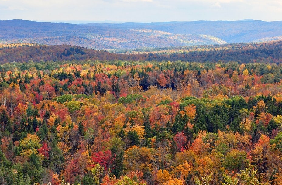 Photo: fall foliage seen from Hogback Mountain, Wilmington, Vermont. Credit: chensiyuan; Wikimedia Commons.