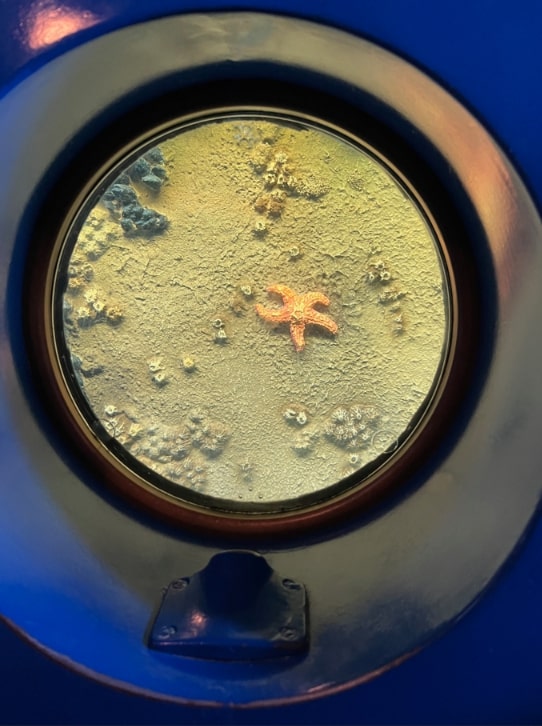 Photo: looking through a submarine porthole. Credit: Gena Philibert-Ortega.