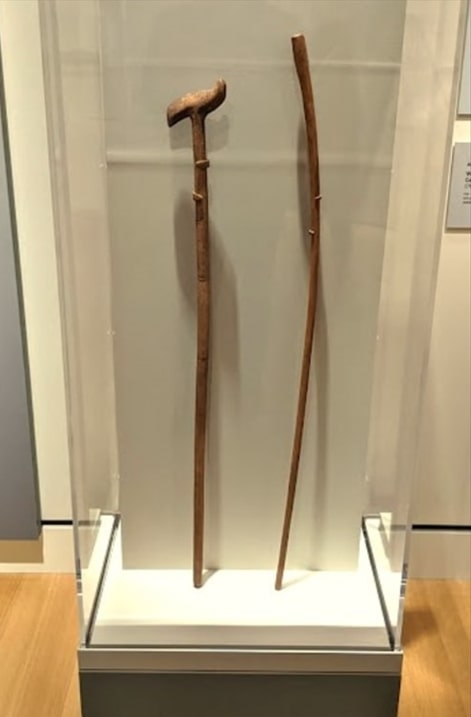 Photo: George Jacob’s walking sticks in a display case from the Salem Witch Trials exhibit at Peabody Essex Museum back in 2020. You can view these relics in this year’s current exhibit as well. Credit: J.W. Ocker.