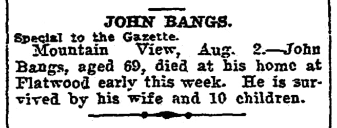 An article about John Bangs, Arkansas Gazette newspaper 3 August 1919