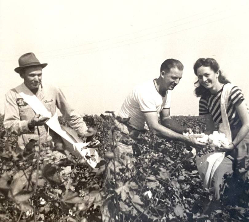 Photo: Willia Winzola Ginn picking cotton with two brothers. Credit Denise Luitwieler.