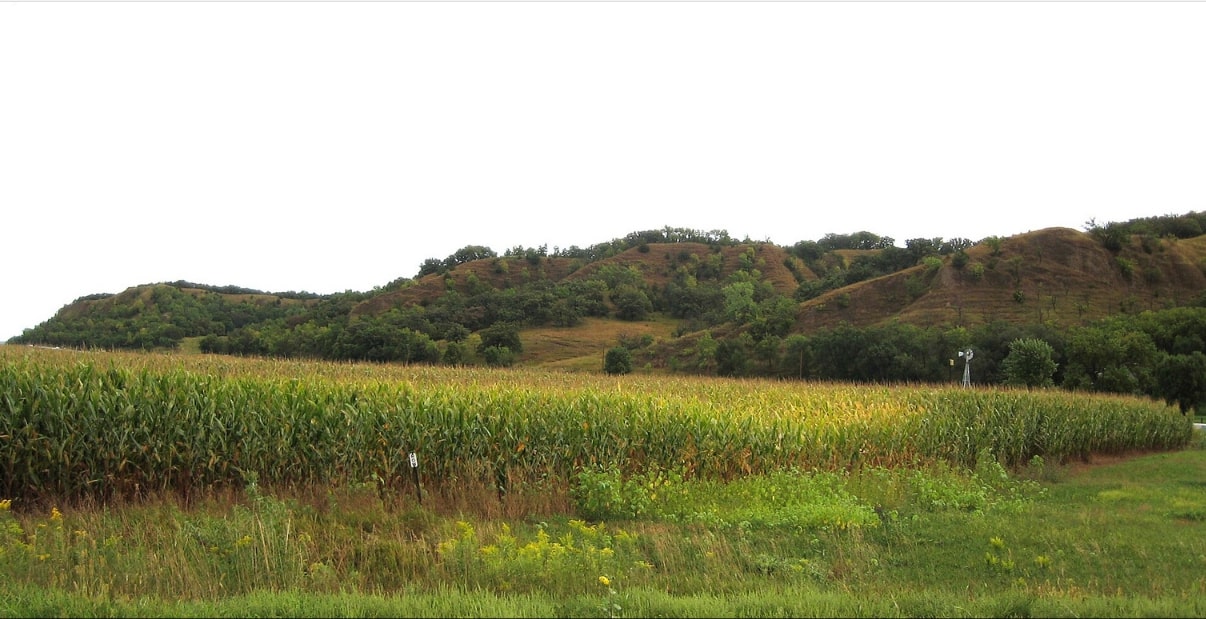 Photo: Loess Hills east of Mondamin, Iowa. Credit: Bill Whittaker; Wikimedia Commons.